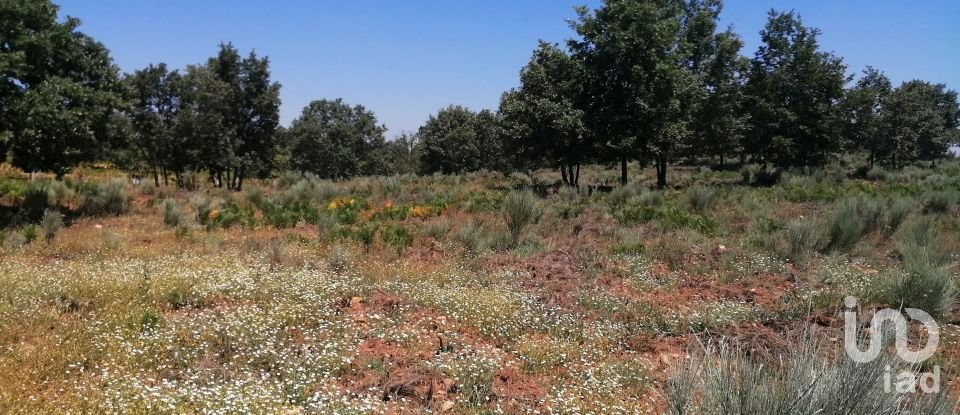 Land in Sabugal e Aldeia de Santo António of 56,170 m²