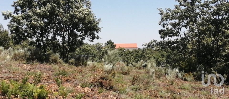 Land in Sabugal e Aldeia de Santo António of 56,170 m²