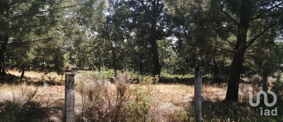 Land in Sabugal e Aldeia de Santo António of 56,170 m²