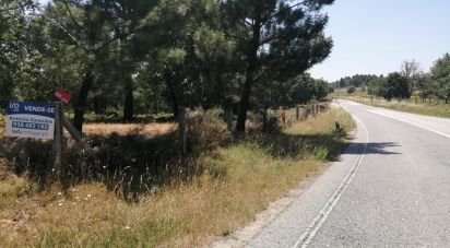 Terrain à Sabugal e Aldeia de Santo António de 56 170 m²