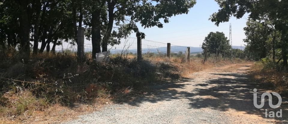 Land in Sabugal e Aldeia de Santo António of 56,170 m²