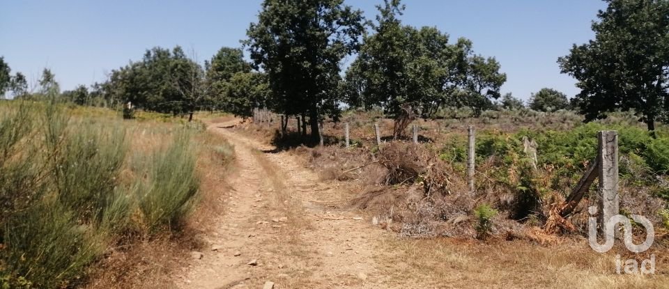 Land in Sabugal e Aldeia de Santo António of 56,170 m²