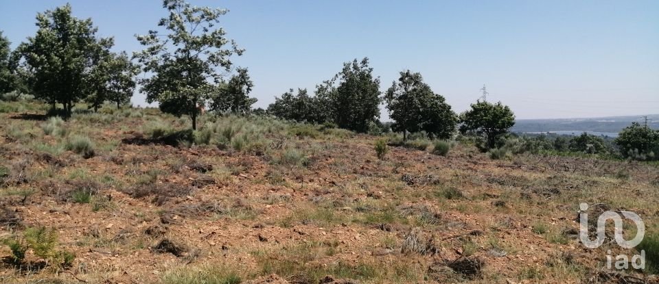 Land in Sabugal e Aldeia de Santo António of 56,170 m²