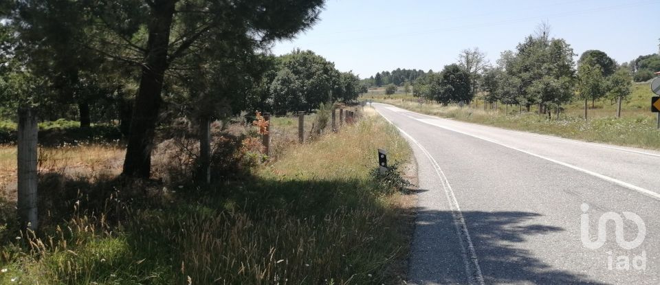 Land in Sabugal e Aldeia de Santo António of 56,170 m²