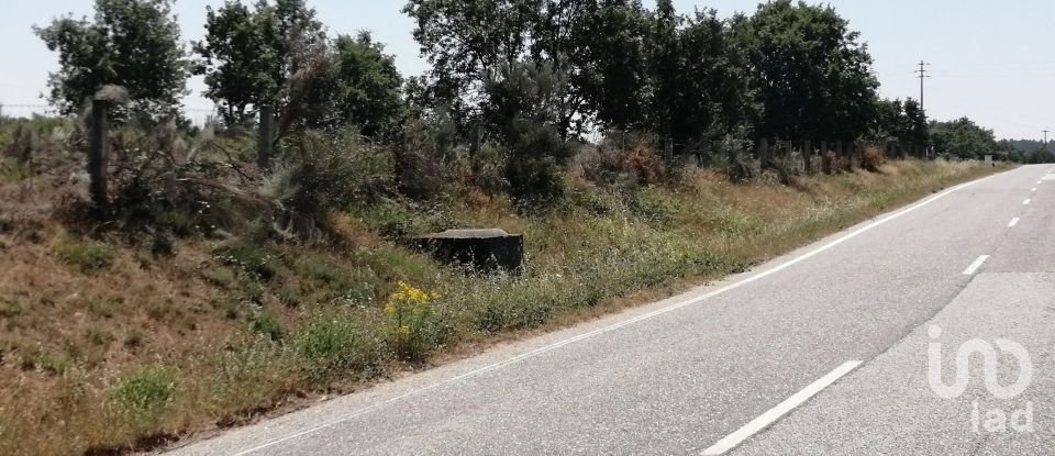 Land in Sabugal e Aldeia de Santo António of 56,170 m²