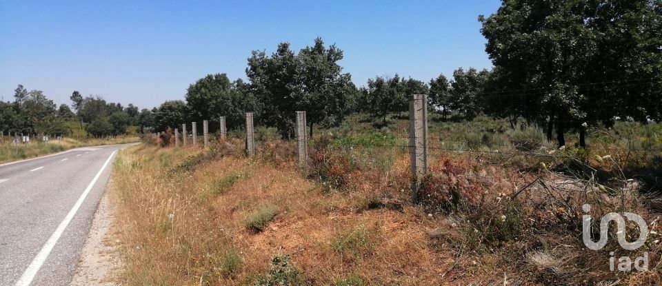 Land in Sabugal e Aldeia de Santo António of 56,170 m²