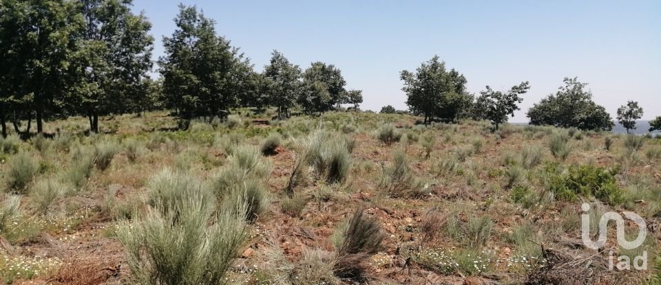 Land in Sabugal e Aldeia de Santo António of 56,170 m²