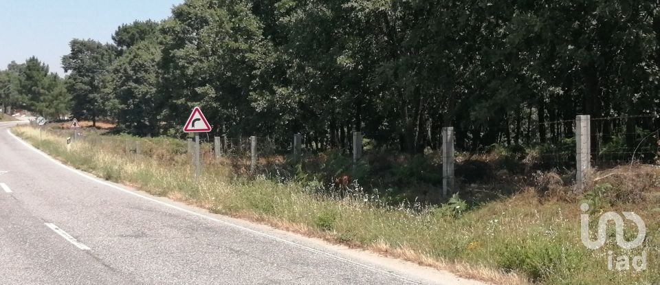 Land in Sabugal e Aldeia de Santo António of 56,170 m²