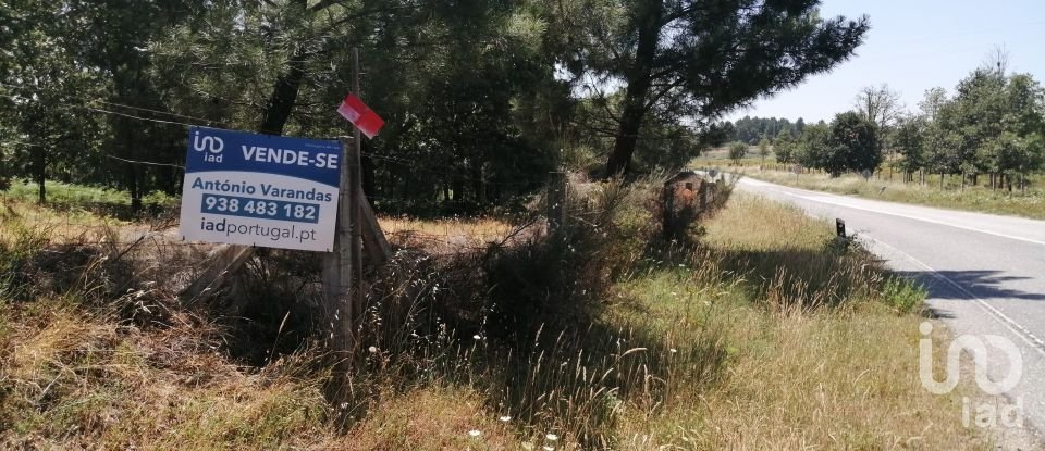 Land in Sabugal e Aldeia de Santo António of 56,170 m²