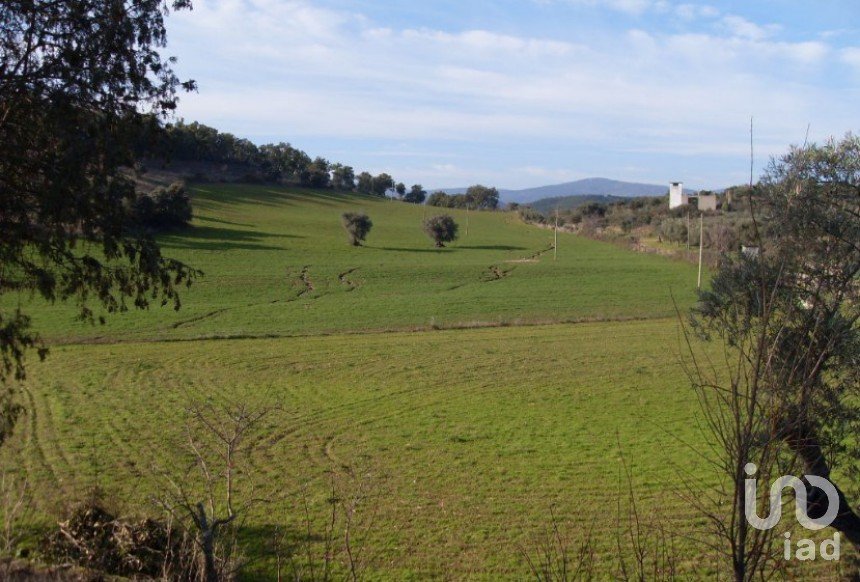 Agricultural land in Agrobom, Saldonha e Vale Pereiro of 517,200 m²