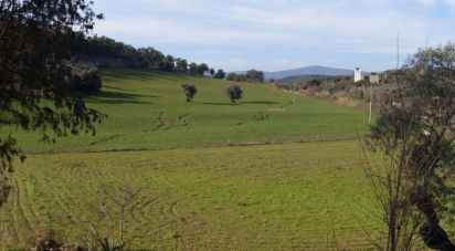 Terrain agricole à Agrobom, Saldonha e Vale Pereiro de 517 200 m²