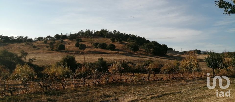 Terrain agricole à Agrobom, Saldonha e Vale Pereiro de 517 200 m²