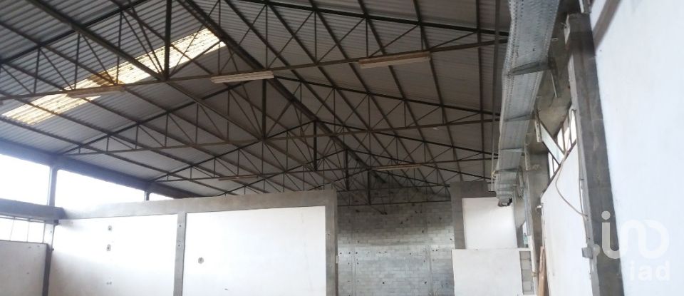 Hangar à Mirandela de 2 650 m²
