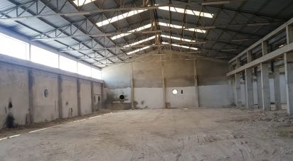 Warehouse in Mirandela of 2,650 m²