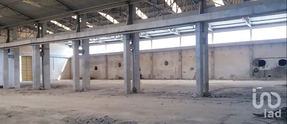 Hangar à Mirandela de 2 650 m²