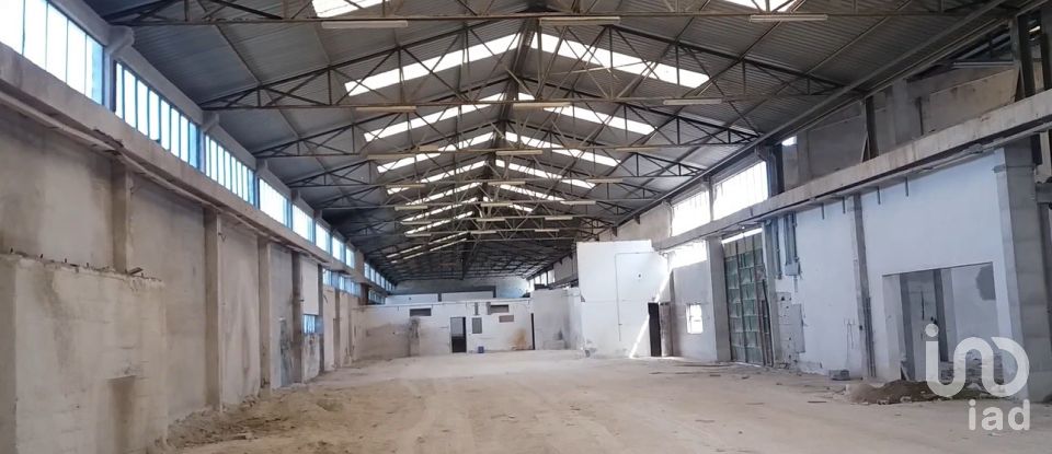 Warehouse in Mirandela of 2,650 m²