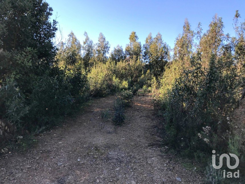 Terreno em Alferce de 224 180 m²