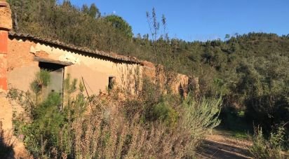 Terrain à Alferce de 224 180 m²