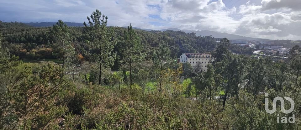 Terreno em São Miguel, Santa Eufémia e Rabaçal de 5 802 m²