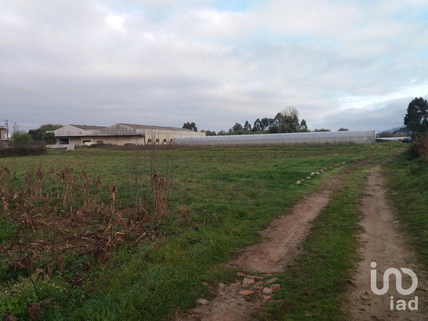 Terrain agricole à Belinho e Mar de 900 m²