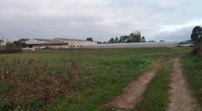 Agricultural land in Belinho e Mar of 900 m²