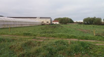 Terrain agricole à Belinho e Mar de 900 m²