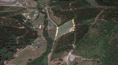Terrain à São Miguel, Santa Eufémia e Rabaçal de 5 802 m²
