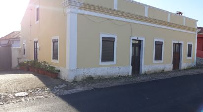 Casa / Villa T4 em Caldas da Rainha - Nossa Senhora do Pópulo, Coto e São Gregório de 510 m²