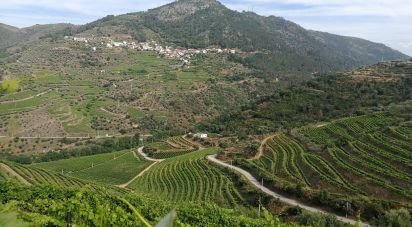 Terrain agricole à Vila Seca e Santo Adrião de 40 000 m²