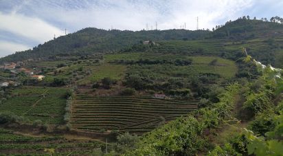 Terrain agricole à Vila Seca e Santo Adrião de 40 000 m²