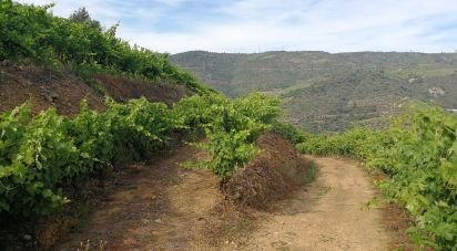Terrain agricole à Vila Seca e Santo Adrião de 40 000 m²