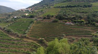 Terrain agricole à Vila Seca e Santo Adrião de 40 000 m²