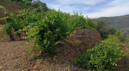 Terrain agricole à Vila Seca e Santo Adrião de 40 000 m²