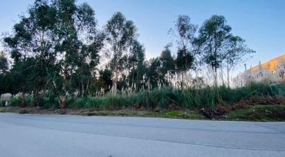 Land in Serzedo E Perosinho of 9,000 m²