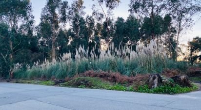 Land in Serzedo E Perosinho of 9,000 m²