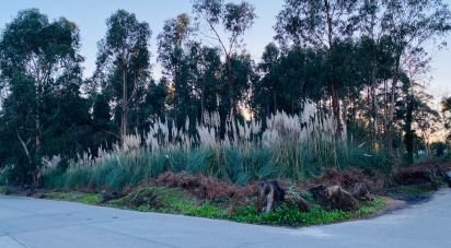 Land in Serzedo E Perosinho of 9,000 m²
