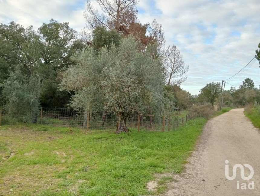 Land in Póvoa da Isenta of 32,360 m²