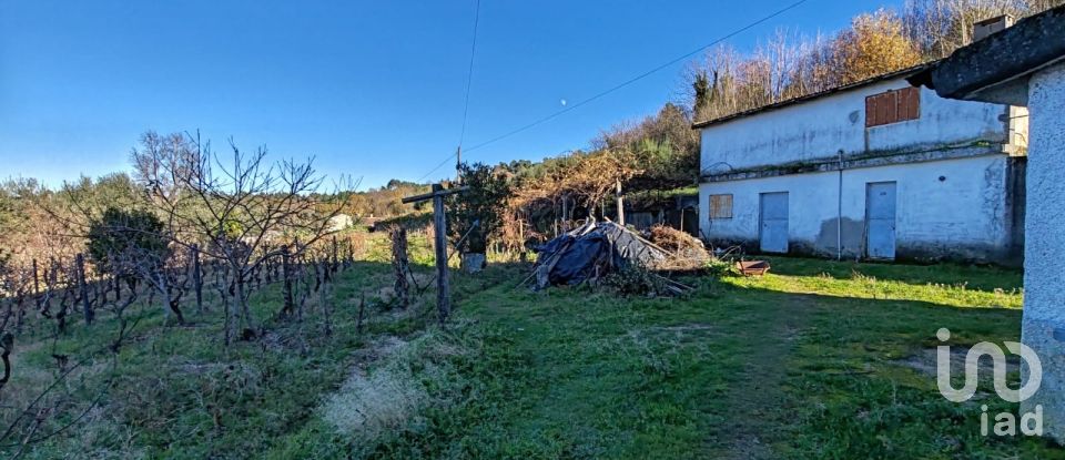 Traditional house T3 in Gouveia of 224 m²