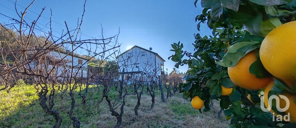 Traditional house T3 in Gouveia of 224 m²