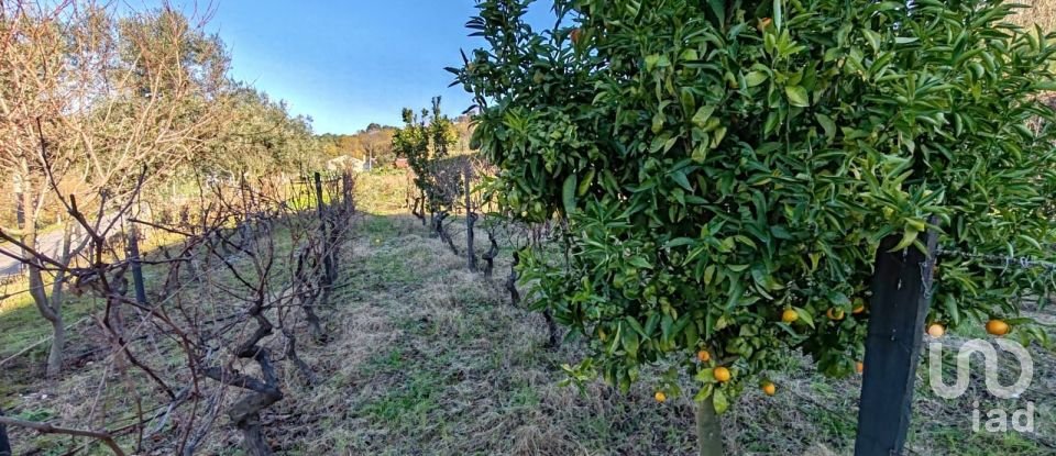 Traditional house T3 in Gouveia of 224 m²