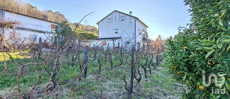 Traditional house T3 in Gouveia of 224 m²