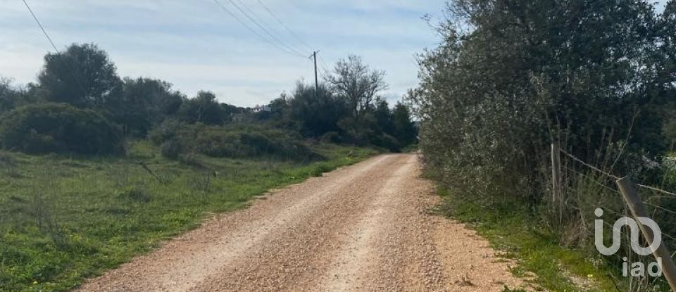 Building land in Luz of 46,600 m²