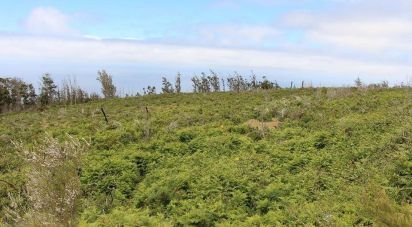 Terrain agricole à Achadas da Cruz de 74 000 m²