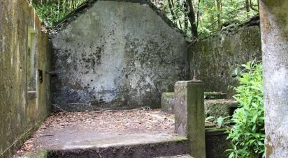 Terrain agricole à Achadas da Cruz de 74 000 m²