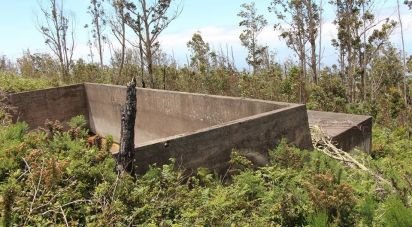 Terrain agricole à Achadas da Cruz de 74 000 m²