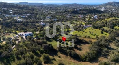 Farm land in Santa Bárbara de Nexe of 4,360 m²