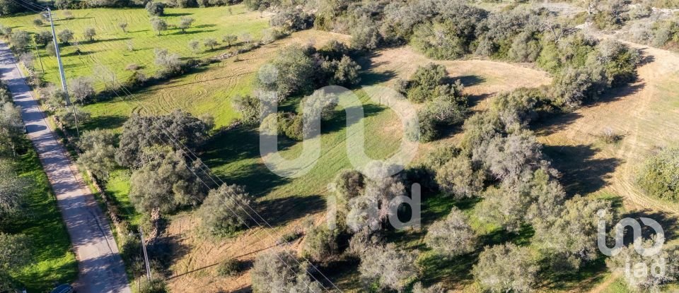 Terreno Agrícola em Santa Bárbara de Nexe de 4 360 m²