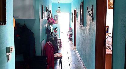 Surface diverse T3 à Galveias de 227 m²