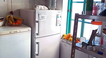 Surface diverse T3 à Galveias de 227 m²