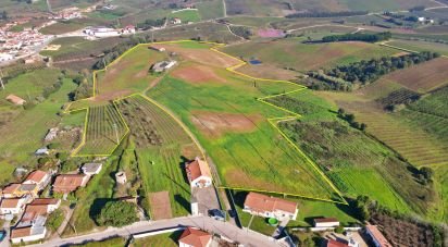 Farm T0 in Peral of 92,520 m²